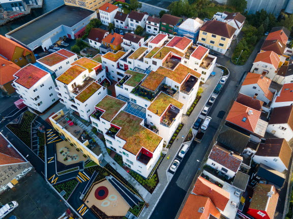 Vindmøllebakken - sedum - grønne tak_jpgVindmølleb.jpg