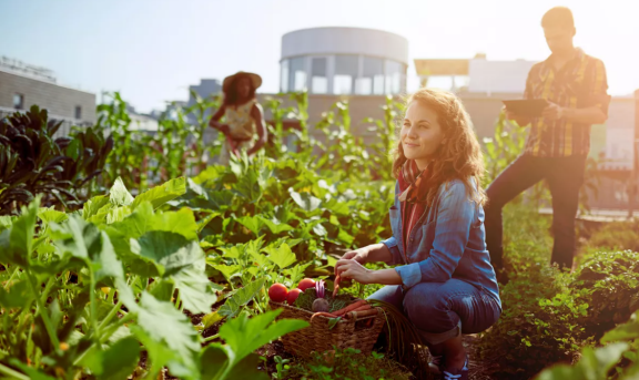 sustainability report.png