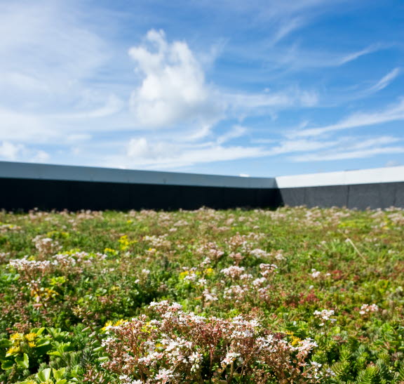 Hotell bergknapp 2.jpg