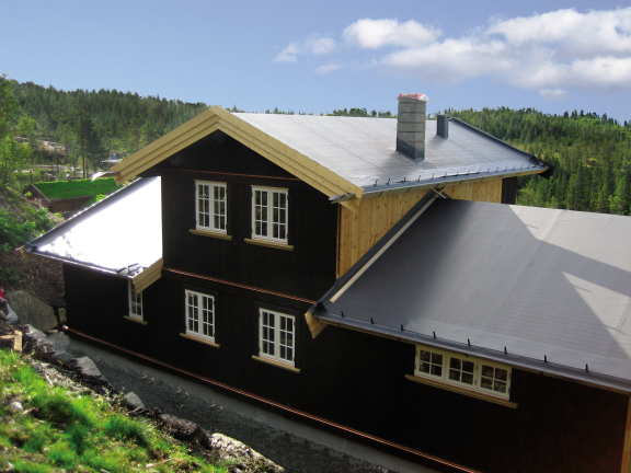 Nytt bilde torvtak.png