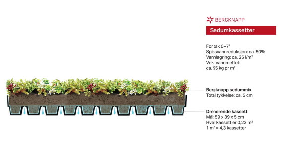 Bergknapp - Snitt - Sedumkassett NY.jpg