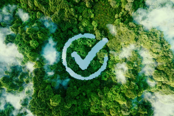 Sustainability check box.jpg