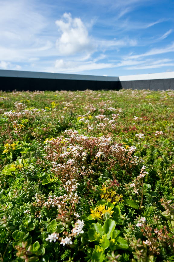 Hotell bergknapp 2.jpg