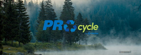 PROcycle - I recycle - Forest3.jpg