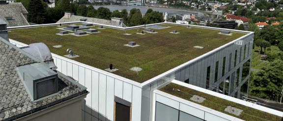 Parkhjørnet1.jpg