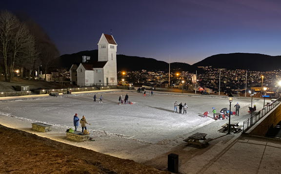 Skansendammen Winter.jpg