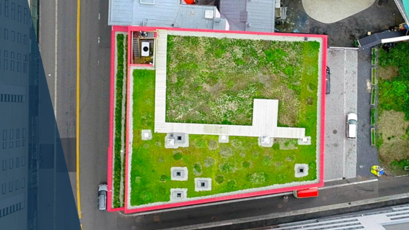 Vega ProTect blå.png