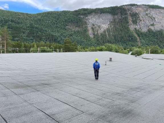Kvinnedagen_fjell.jpg