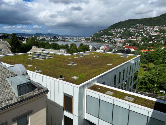 IMG_8479 2024-06-06 07_22_03.jpg